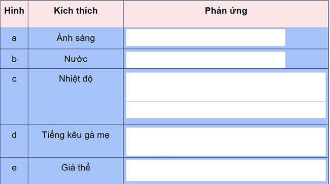 PowerPoint KHTN 7 Bài 33