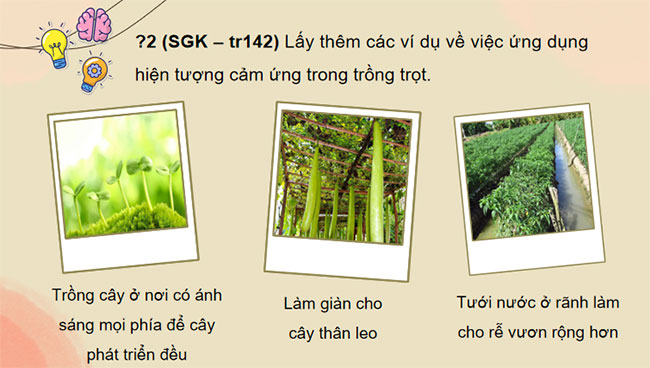 PowerPoint KHTN 7 Bài 34