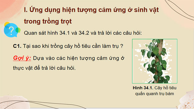 PowerPoint KHTN 7 Bài 34