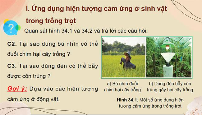 PowerPoint KHTN 7 Bài 34