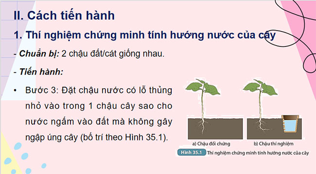 PowerPoint KHTN 7 Bài 35