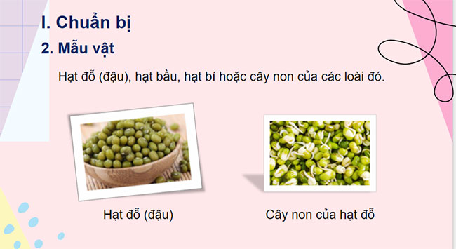 PowerPoint KHTN 7 Bài 35