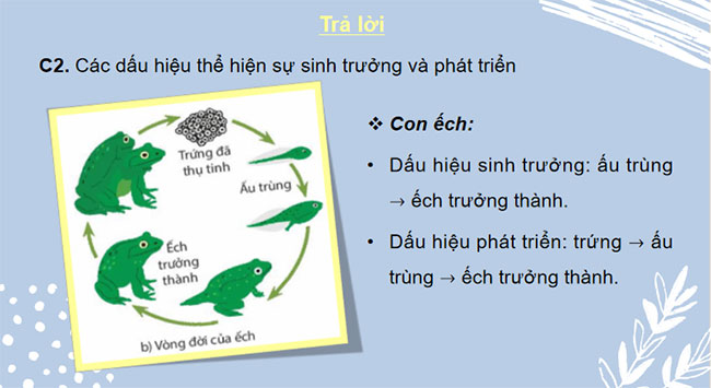 PowerPoint KHTN 7 Bài 36