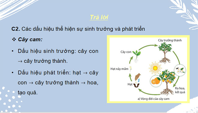 PowerPoint KHTN 7 Bài 36