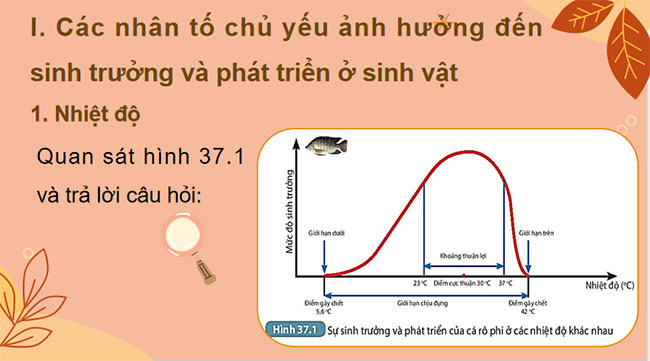 Giáo án PowerPoint Khoa học tự nhiên 7 Bài 37