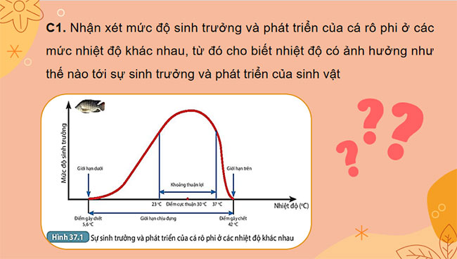 Giáo án PowerPoint Khoa học tự nhiên 7 Bài 37
