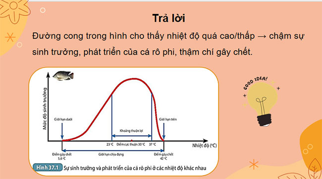 Giáo án PowerPoint Khoa học tự nhiên 7 Bài 37
