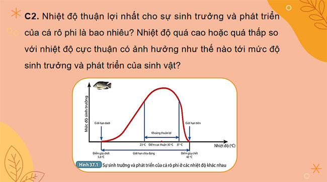 Giáo án PowerPoint Khoa học tự nhiên 7 Bài 37