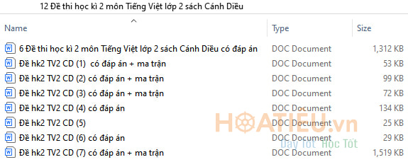 Bộ đề thi học kì 2 lớp 2 môn Tiếng Việt sách Cánh Diều