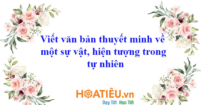 Viết văn bản thuyết minh về một sự vật, hiện tượng trong tự nhiên