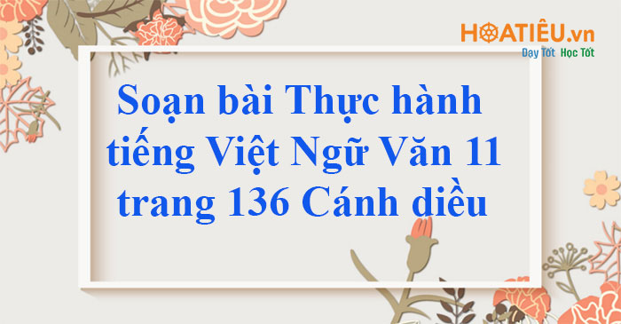 Soạn bài Thực hành tiếng Việt trang 136 Ngữ Văn 11 Cánh diều