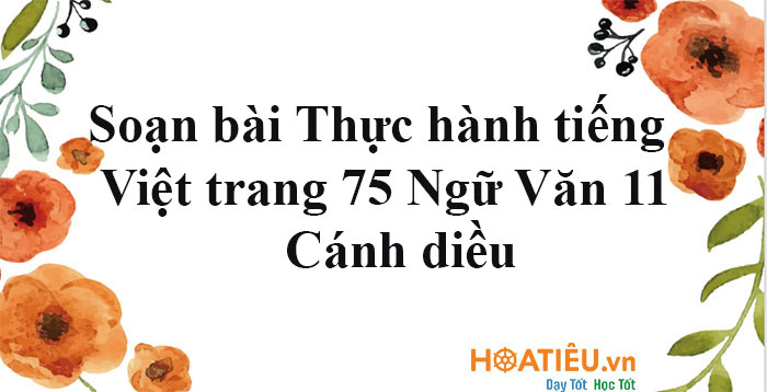 Soạn bài Thực hành tiếng Việt trang 75 Ngữ Văn 11 Cánh Diều