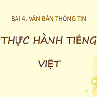 PowerPoint Ngữ Văn 10 Bài 4: Thực hành tiếng Việt