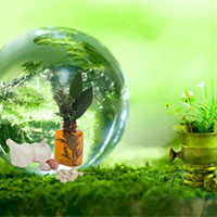 Bộ đề nghị luận xã hội chủ đề Mối quan hệ với tự nhiên