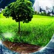 PowerPoint Khoa học 5 Bài 20: Tác động của con người đến môi trường