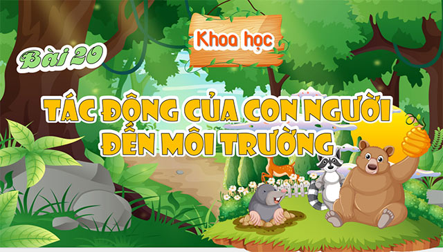 PowerPoint Tác động của con người đến môi trường