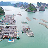 PowerPoint Công nghệ 7 Bài 15: Nuôi ao cá