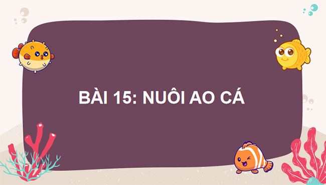 Công nghệ 7 Bài 15: Nuôi ao cá