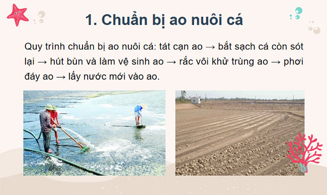 Công nghệ 7 Bài 15: Nuôi ao cá