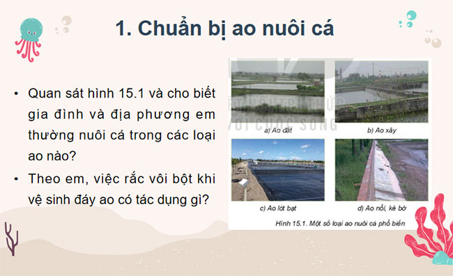 Công nghệ 7 Bài 15: Nuôi ao cá