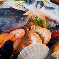 PowerPoint Công nghệ 7 Bài 16: Thực hành Lập kế hoạch nuôi cá cảnh