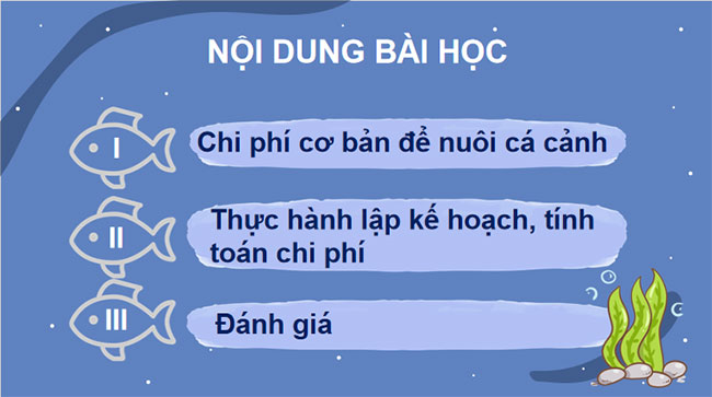 Thực hành Lập kế hoạch nuôi cá cảnh
