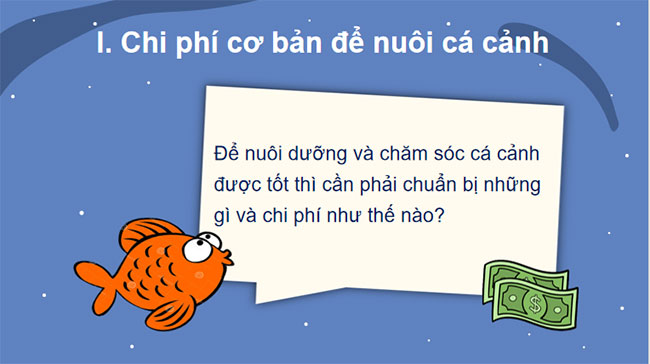 Thực hành Lập kế hoạch nuôi cá cảnh