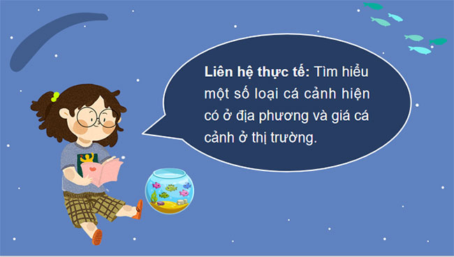 Thực hành Lập kế hoạch nuôi cá cảnh