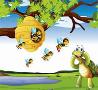 Giáo án mầm non: Truyện Rùa con tìm nhà