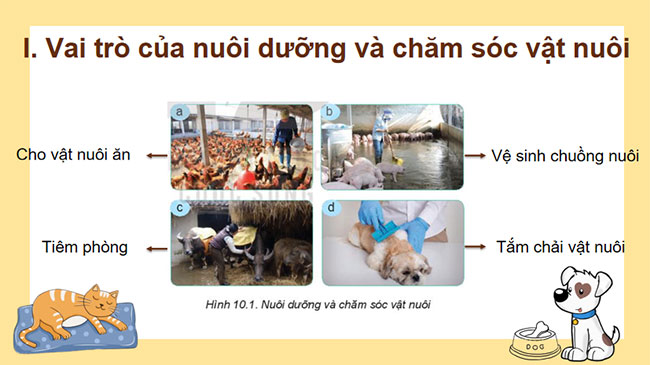 Giáo án Công nghệ 7 Bài 10