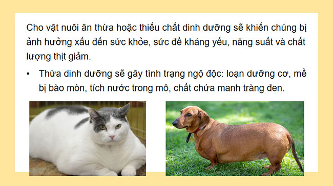 Giáo án Công nghệ 7 Bài 10