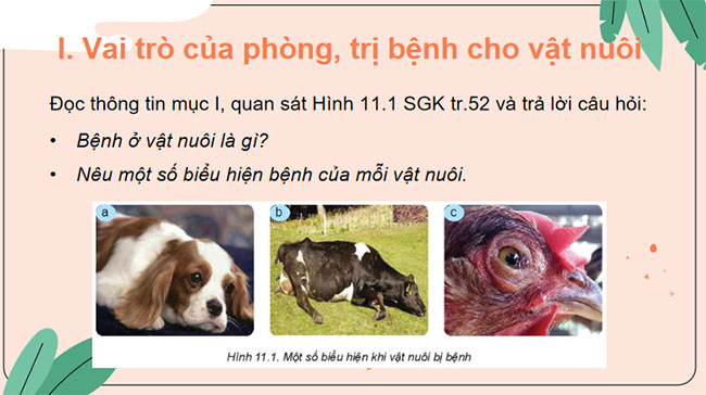 Phòng và trị bệnh cho vật nuôi