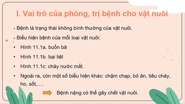 Phòng và trị bệnh cho vật nuôi