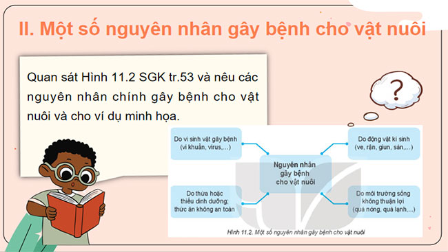 Phòng và trị bệnh cho vật nuôi