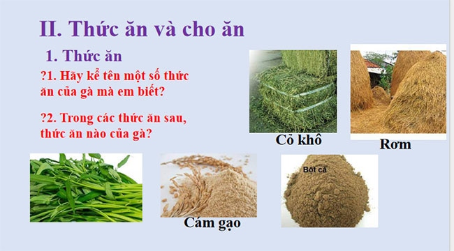 PowerPoint Công nghệ 7 Bài 12