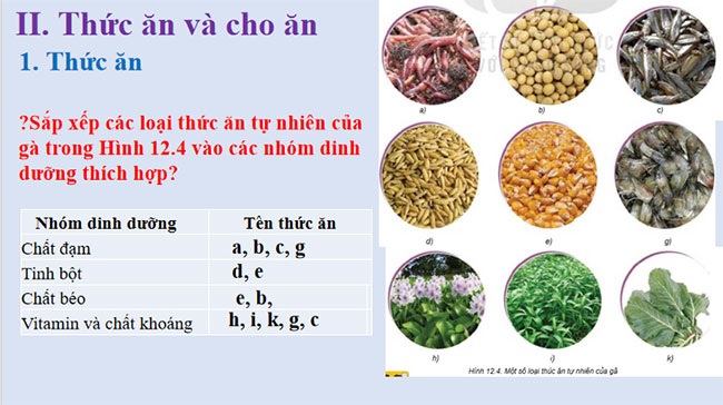 PowerPoint Công nghệ 7 Bài 12