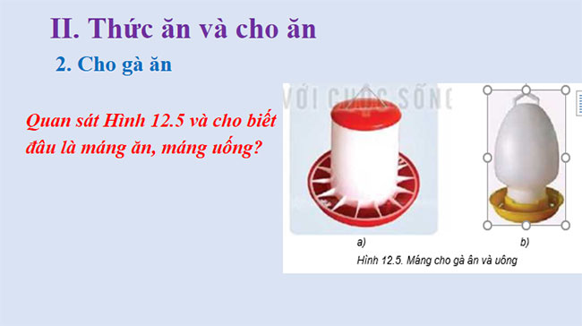 PowerPoint Công nghệ 7 Bài 12