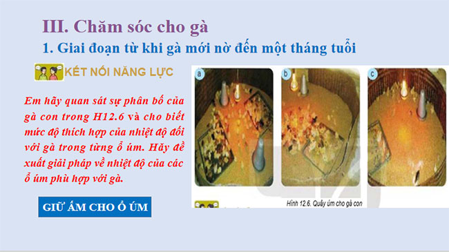PowerPoint Công nghệ 7 Bài 12