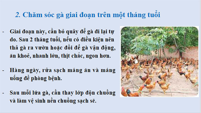 PowerPoint Công nghệ 7 Bài 12