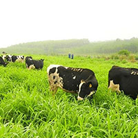 PowerPoint Công nghệ 7: Ôn tập chương 3