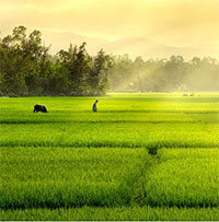 PowerPoint Ngữ Văn 11 Bài 2: Nhớ đồng