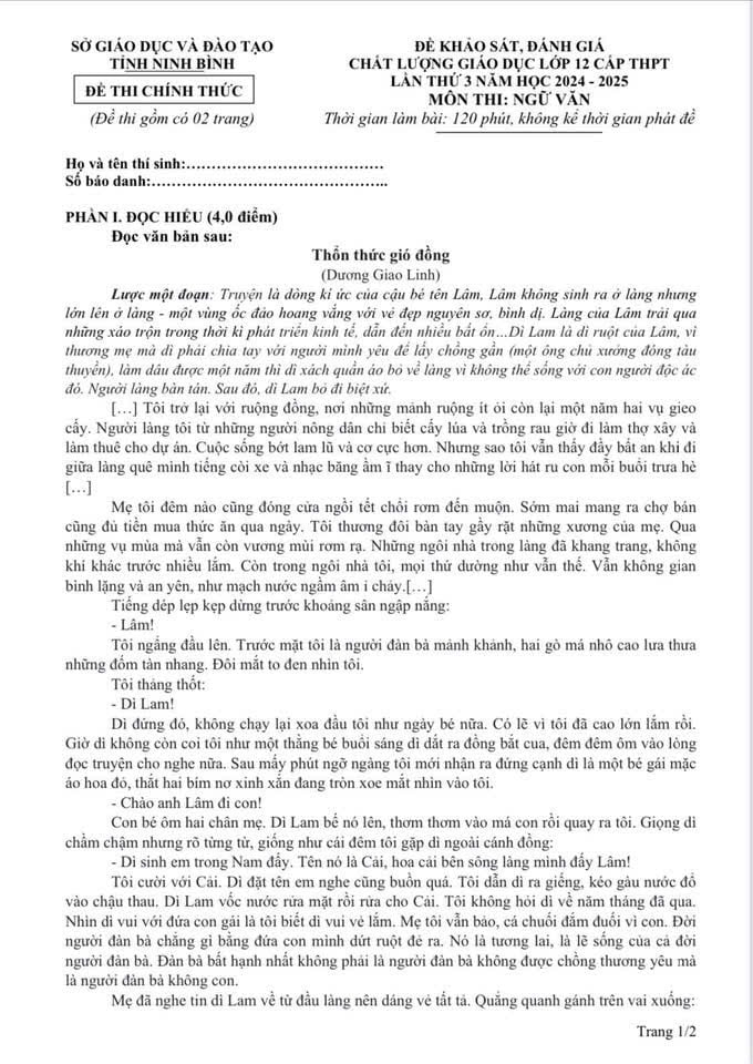 Đề thi thử Ngữ văn THPT 2025 Ninh Bình lần 3