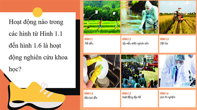 PowerPoint Khoa học tự nhiên 6 Giới thiệu về khoa học tự nhiên