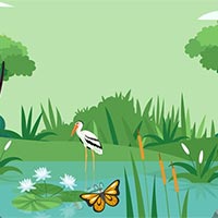 PowerPoint Khoa học tự nhiên 8 Bài 41: Môi trường và các nhân tố sinh thái