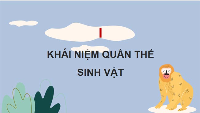 Quần thể sinh vật