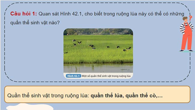 Quần thể sinh vật