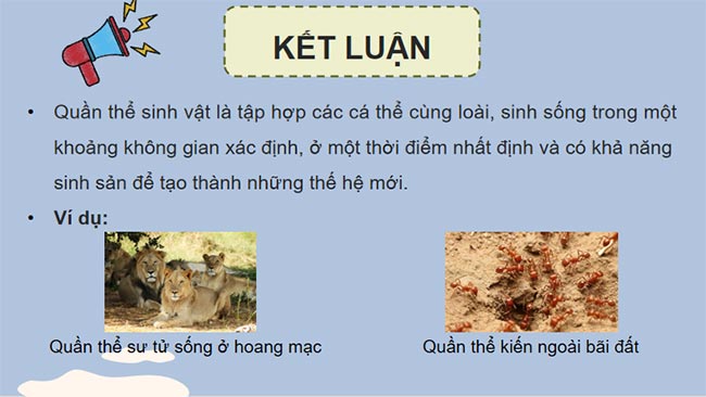 Quần thể sinh vật