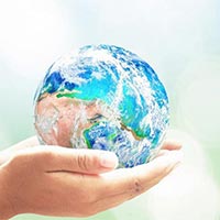 PowerPoint Khoa học tự nhiên 8 Bài 42: Quần thể sinh vật