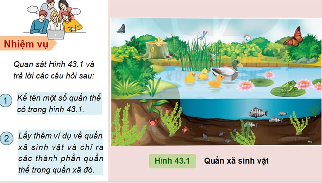 Quần xã sinh vật