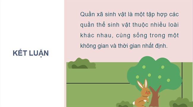 Quần xã sinh vật